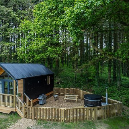 Stepaside  Cabin In The Woods - 1 Bedroom Lodge - Kilgetty מראה חיצוני תמונה