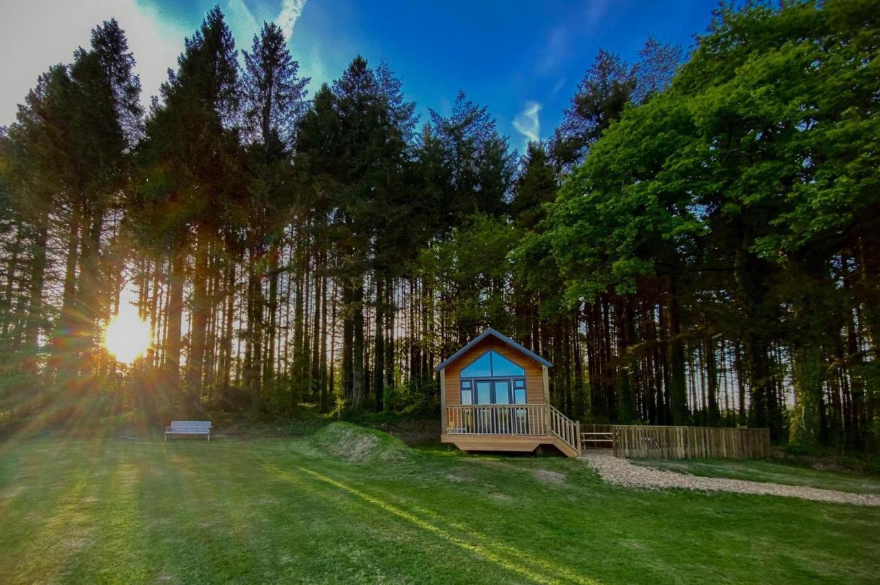 Stepaside  Cabin In The Woods - 1 Bedroom Lodge - Kilgetty מראה חיצוני תמונה