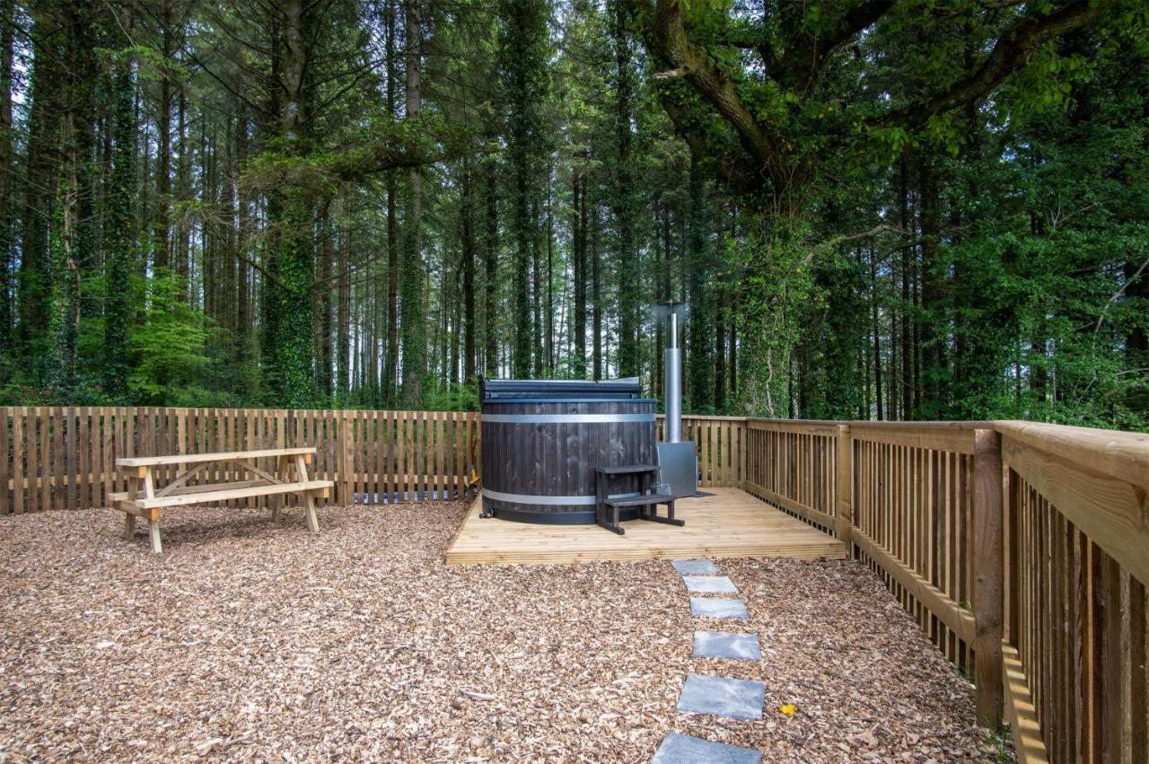 Stepaside  Cabin In The Woods - 1 Bedroom Lodge - Kilgetty מראה חיצוני תמונה