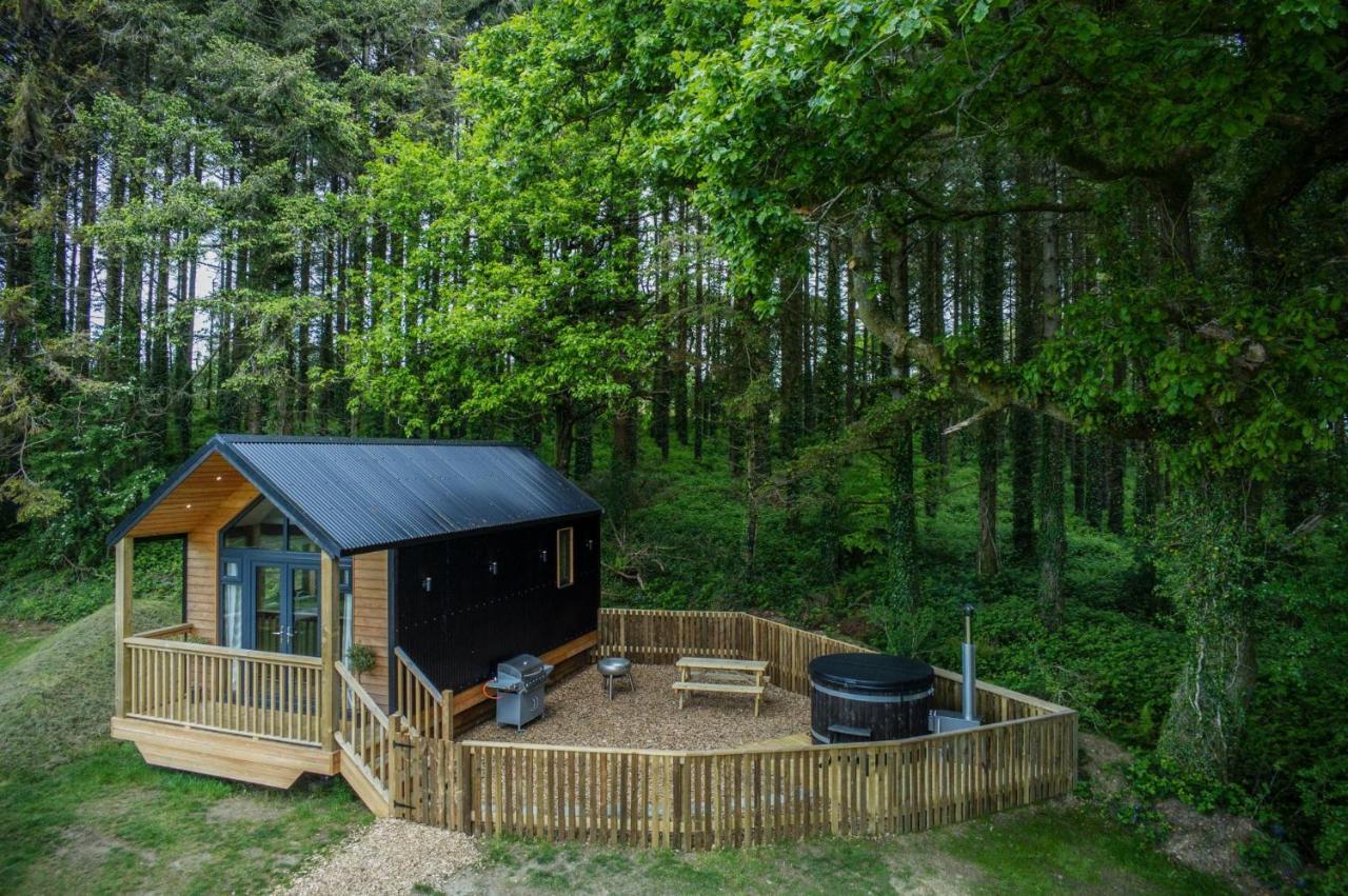 Stepaside  Cabin In The Woods - 1 Bedroom Lodge - Kilgetty מראה חיצוני תמונה