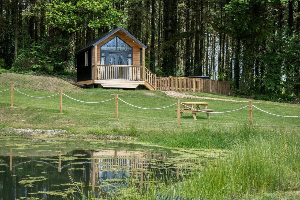 Stepaside  Cabin In The Woods - 1 Bedroom Lodge - Kilgetty מראה חיצוני תמונה