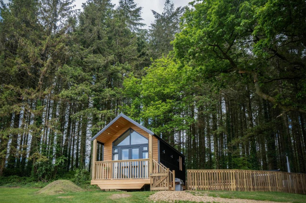 Stepaside  Cabin In The Woods - 1 Bedroom Lodge - Kilgetty מראה חיצוני תמונה