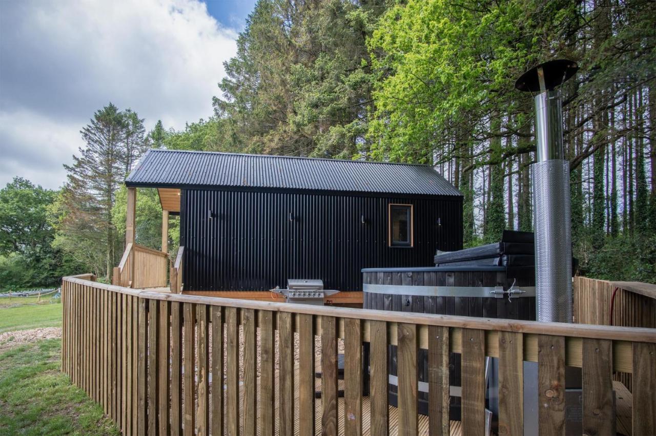 Stepaside  Cabin In The Woods - 1 Bedroom Lodge - Kilgetty מראה חיצוני תמונה