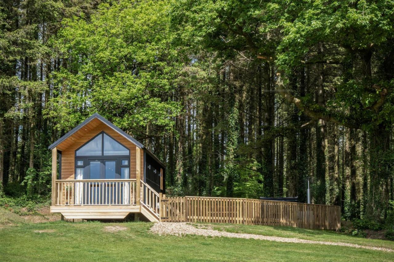 Stepaside  Cabin In The Woods - 1 Bedroom Lodge - Kilgetty מראה חיצוני תמונה