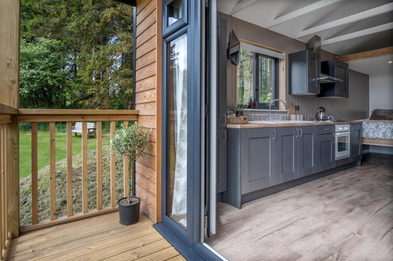 Stepaside  Cabin In The Woods - 1 Bedroom Lodge - Kilgetty מראה חיצוני תמונה