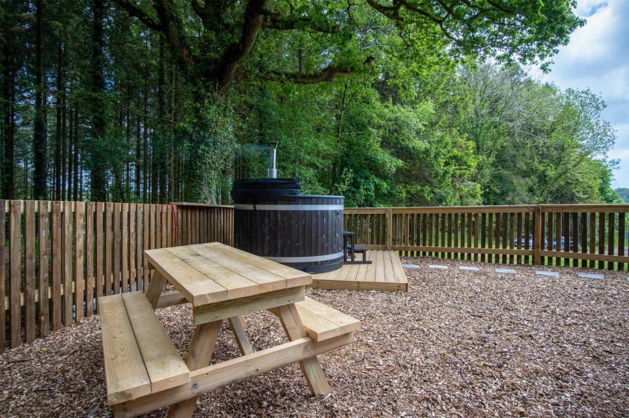 Stepaside  Cabin In The Woods - 1 Bedroom Lodge - Kilgetty מראה חיצוני תמונה