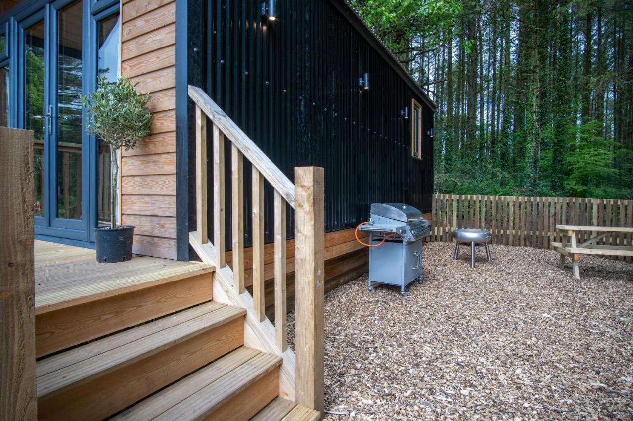Stepaside  Cabin In The Woods - 1 Bedroom Lodge - Kilgetty מראה חיצוני תמונה