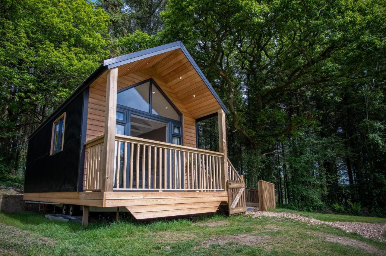 Stepaside  Cabin In The Woods - 1 Bedroom Lodge - Kilgetty מראה חיצוני תמונה