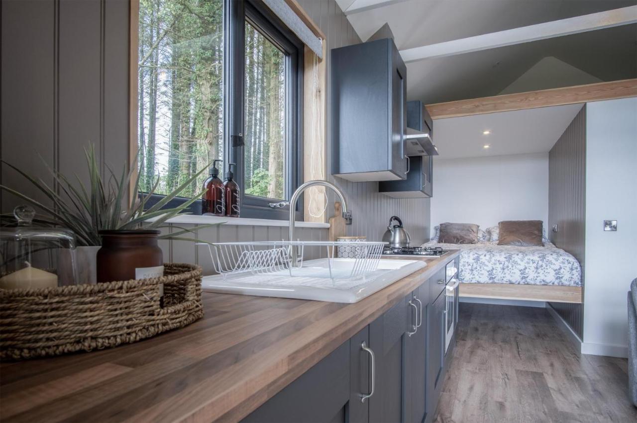Stepaside  Cabin In The Woods - 1 Bedroom Lodge - Kilgetty מראה חיצוני תמונה